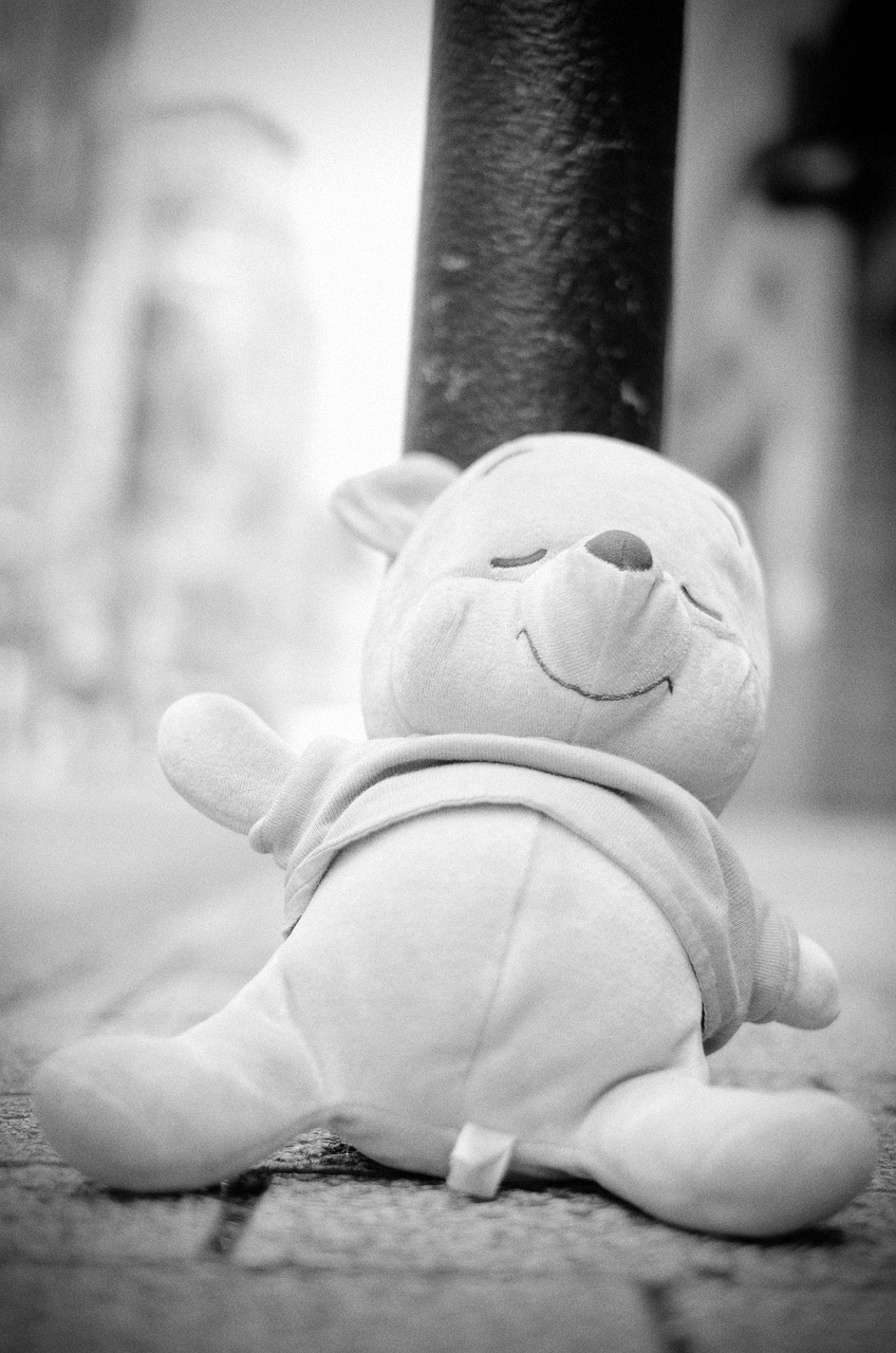 금호고속 분실물