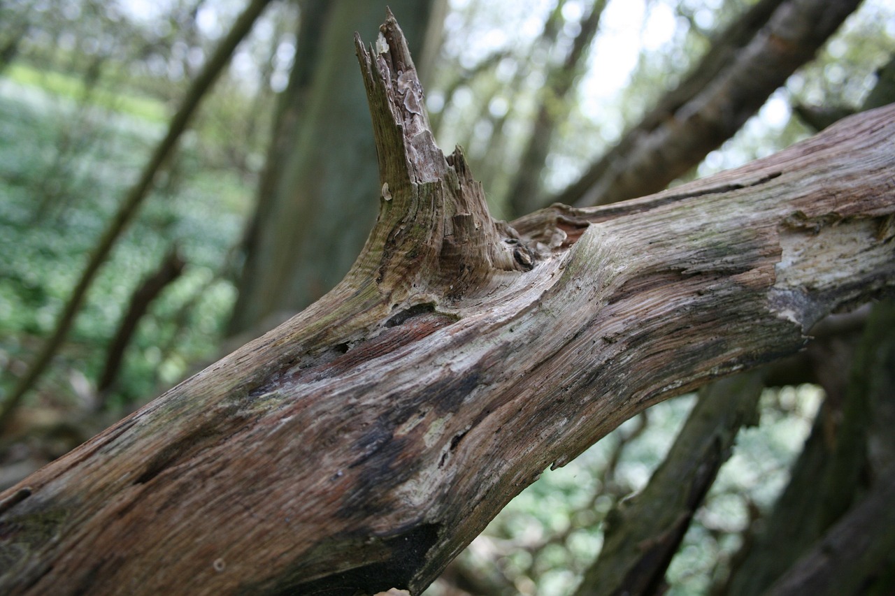 김휘집 트레이드