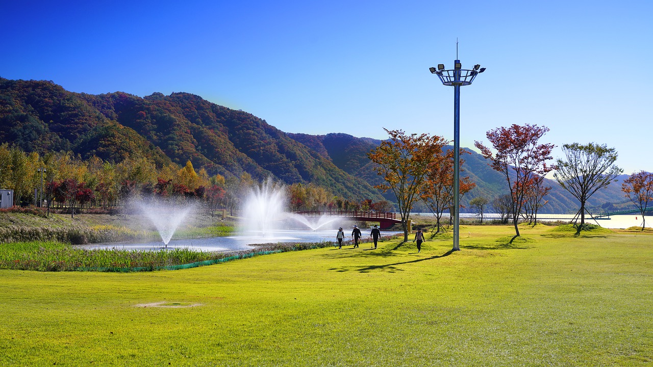 박원숙의 같이 삽시다 화천