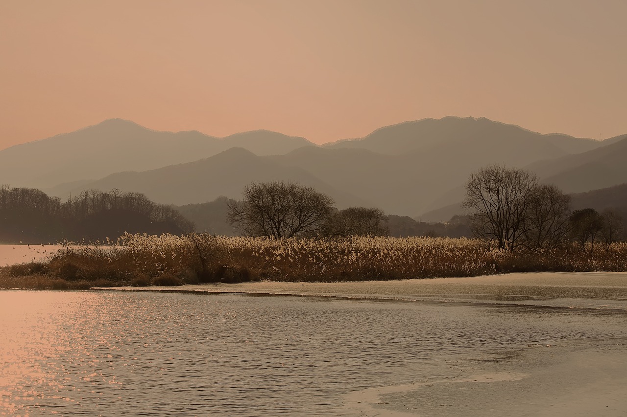 양평 프티트자르뎅 714