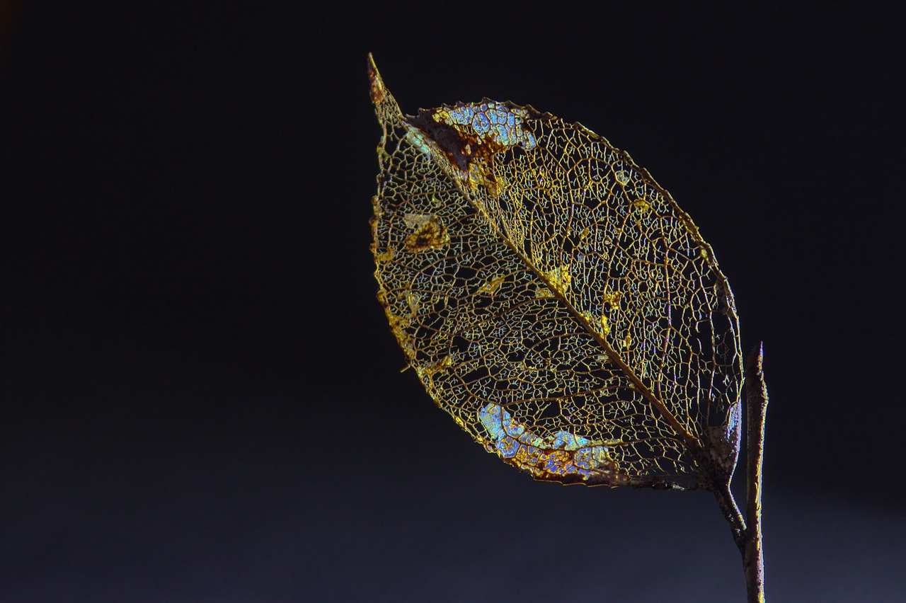 엔트리 벽부수기