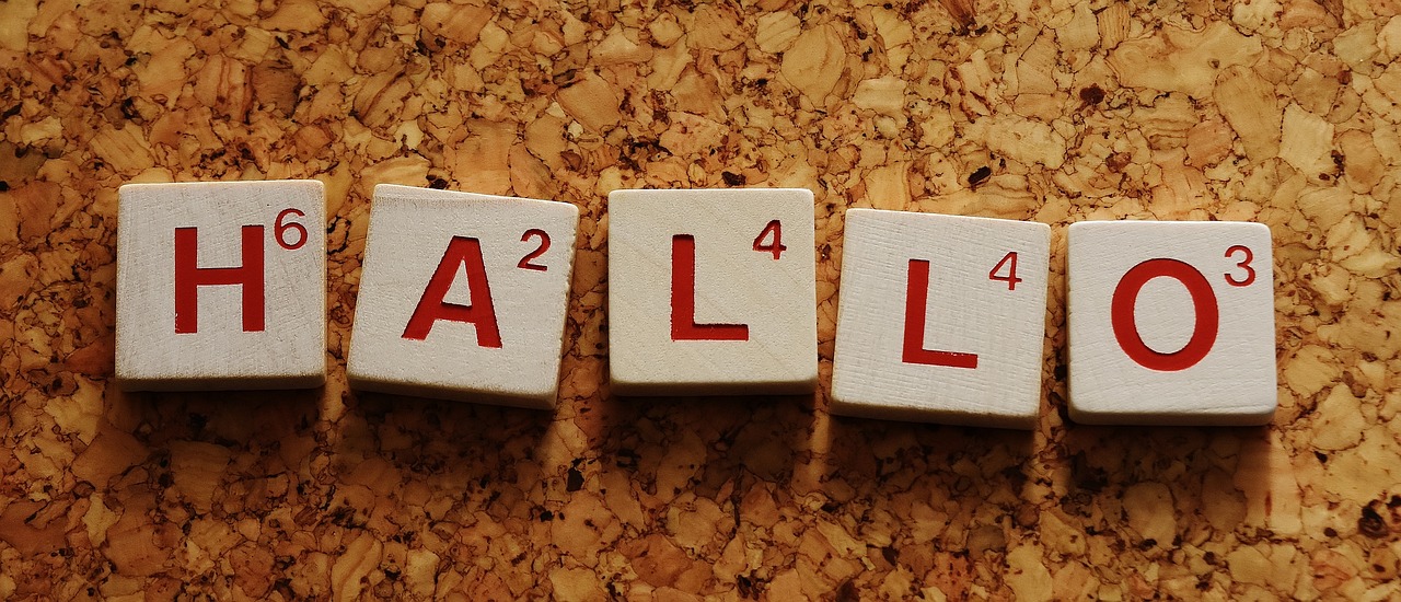 입양하세요 가치표