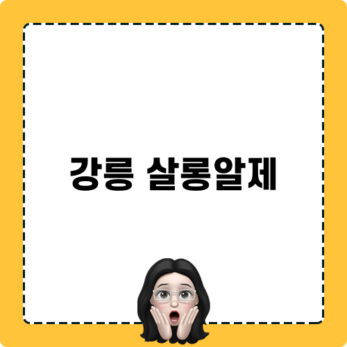 강릉 살롱알제 미용실 소개