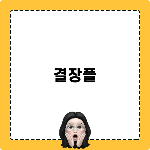 결장플 관련 블로그