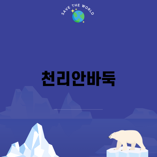 오사카의 매력 천리안바둑